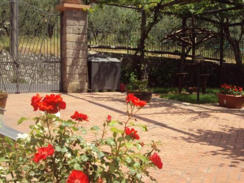Bed and Breakfast Bellaria Relais Piano di Sorrento Exterior foto